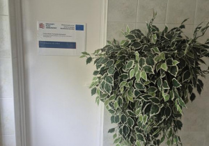 sala multimedialna