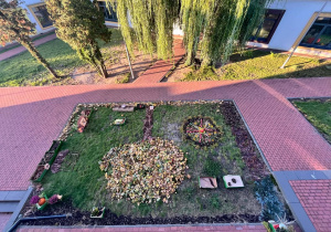 widok