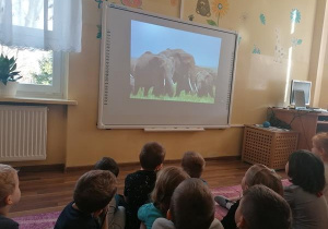 zajęcia z tablicą multimedialną