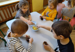 przygotowujemy pokarm dla ptaków